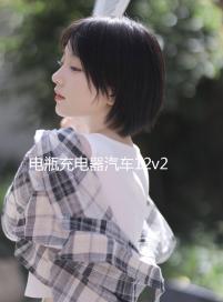 電瓶充電器汽車(chē)12v24v車(chē)用電池大功率純銅通用型摩托蓄電池充電機(jī)