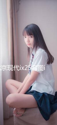 北京現(xiàn)代ix25名圖ix35悅動途勝朗動原裝60AH汽車電瓶瓦爾塔蓄電池