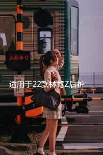 適用于22款林肯Z后護(hù)板黑鈦汽車門檻條迎賓踏板改裝專用裝飾配件