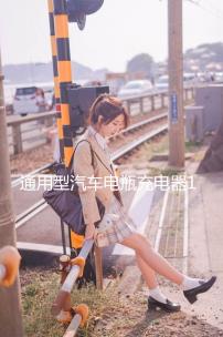 通用型汽車電瓶充電器12V24V伏大功率智能充滿自動停多功能純銅