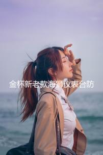 金杯新老款海獅儀表臺(tái)防曬避光墊汽車中控臺(tái)內(nèi)飾改裝專用裝飾配件