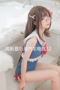 風(fēng)帆蓄電池汽車電瓶12v46B24 思域雅閣騏達(dá)福瑞迪k2瑞納宏光北汽