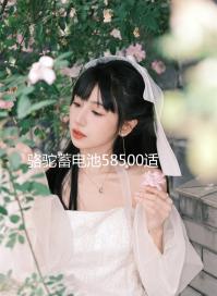 駱駝蓄電池58500適用五菱之光榮光鴻途切洛基野馬12V48AH汽車電瓶