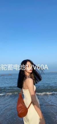 駱駝蓄電池12V60AH適用于全球鷹哈佛H6皇冠銳志奇瑞55D26汽車電瓶
