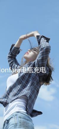 Monfara電瓶充電器12V24V專用汽車船用貨車大功率充滿自停純銅