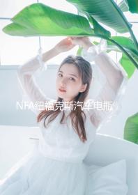 NFA紐?？怂蛊囯娖砍潆娖?2V大功率agm蓄電池全自動(dòng)智能充電機(jī)