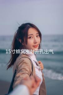 15寸蜂窩密封開孔出氣箱15空箱體低音炮箱家用汽車用空箱木質包郵