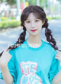 10寸梯型12V24V車載有源汽車低音炮220V插卡藍(lán)牙版大功率音響音箱